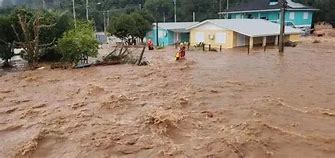 Reprodução internet